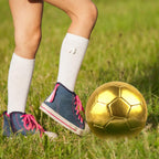 Linkidea Size 4 Gold Color Soccer Ball, Official Match Size Golden Soccer Ball, Gift Idea for Freestyle Soccer and Juggling