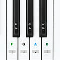 Linkidea Piano Keyboard Note Stickers (Color Coded with Transparent Background) for 88/61/54 Key Acoustic & Digital Piano and Keyboards