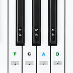 Linkidea Piano Keyboard Note Stickers (Color Coded with Transparent Background) for 88/61/54 Key Acoustic & Digital Piano and Keyboards