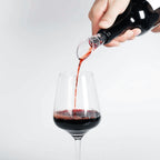 Linkidea 6 Pack Wine Aerator Pourer Spout, Portable Wine Air Aerator for Red and White Wine, Premium Wine Bottle Decanter with Aerator