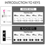 Linkidea Piano Keyboard Note Stickers (Color Coded with Transparent Background) for 88/61/54 Key Acoustic & Digital Piano and Keyboards